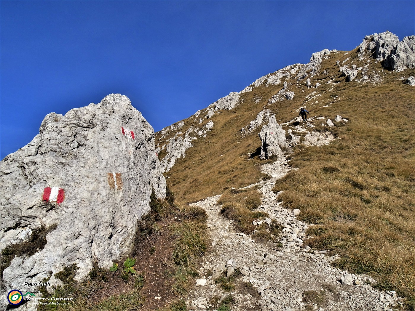 37 In decisa-ripida-impegnativa salita sul sent. 530 per Cima Alben.JPG
